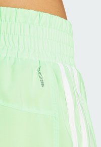 adidas Performance PACER zielony