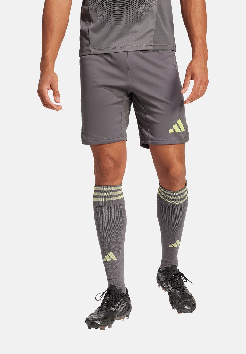 adidas Performance Kurze Sporthose - grau