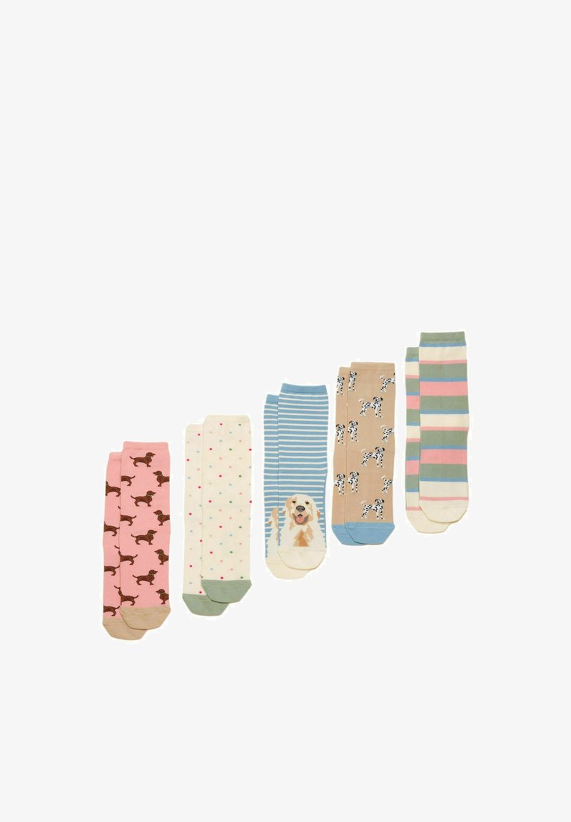 Five pairs of knee-high socks with various patterns: brown dachshunds on pink, colorful dots on cream, dog face on blue stripes, black-and-white dalmatians on beige, and pastel stripes.