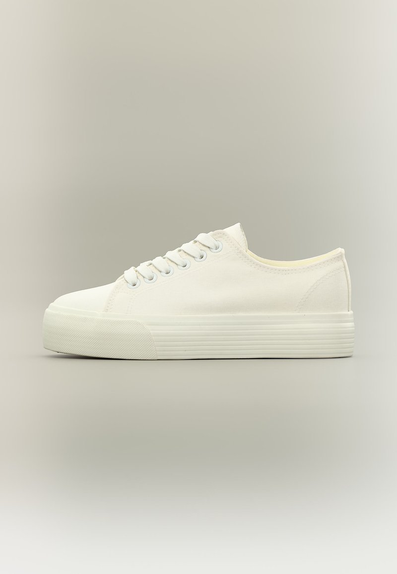 Anna Field Trainers
