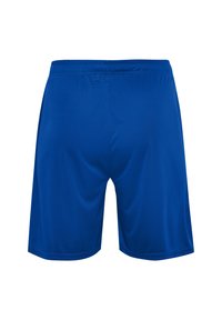 Blå sportshorts i ett mjukt, lätt material. Har resårmidja, inga synliga mönster eller detaljer. Standard passform.