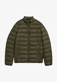 Pasirinkta, racing green