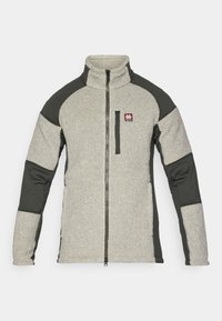Fleecejack met hoge kraag, grijze hoofdkleur, donkergroene mouwen en een rits aan de voorkant. Beschikt over een klein logo op de borst.
