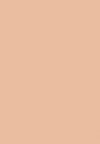 rose gold champagne
