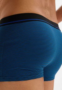 Torso maschile che indossa boxer aderenti a righe blu e nere con una fascia nera, mostrato da dietro a livello della vita.