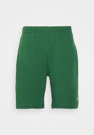 Pantaloni scurți verzi dintr-un material cu elastic în talie și buzunare laterale, având un mic logo pe piciorul stâng. Textură netedă, până la genunchi.