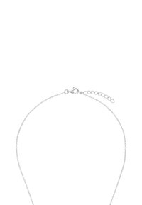 Collana a catena in argento con un design delicato, dotata di chiusura a moschettone e di un'estensione regolabile per una vestibilità personalizzabile.