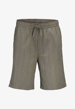 Jack & Jones, JPSTJAIDEN TYSON JOGGER - Shorts - vetiver
