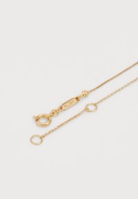Goldfarbener Metallelfenbeinkette mit einem eleganten Kettendesign, ausgestattet mit einem Karabinerhaken und einem markierten Anhänger. Zarte Kettenteile zeigen eine strukturierte Oberfläche.