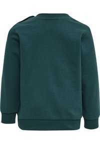 Groene pullover sweatshirt, gemaakt van zacht katoen, met een ronde hals, lange mouwen en elastische manchetten met een gladde textuur.