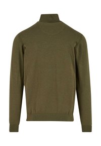 Olivgrüner Langarmpullover mit hohem geripptem Kragen sowie gerippten Bündchen und Saum, von hinten gezeigt.