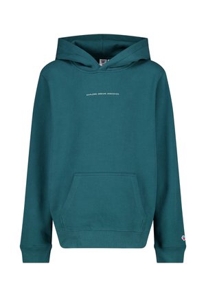 SPIKE - Sweat à capuche - pine green