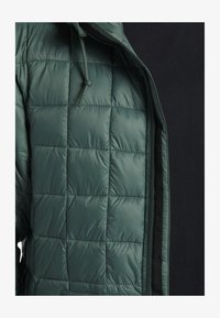 Unausgewählt, green