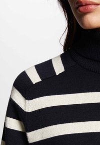 Navy-und-Elfenbein gestreifter Rollkragenpullover mit weicher Textur, der über einen gerippten Kragen und Schulterdetails verfügt.