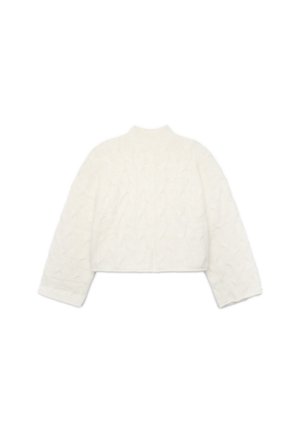 Terranova, MAGLIA CON COLLO LUPETTO A TRECCE - Maglione - bianco lana