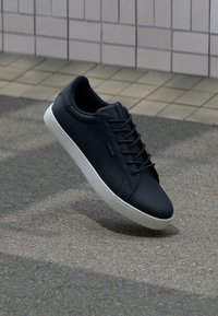 Избран, anthracite