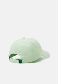 Columbia ROC UNISEX - Naģene - sage leaf