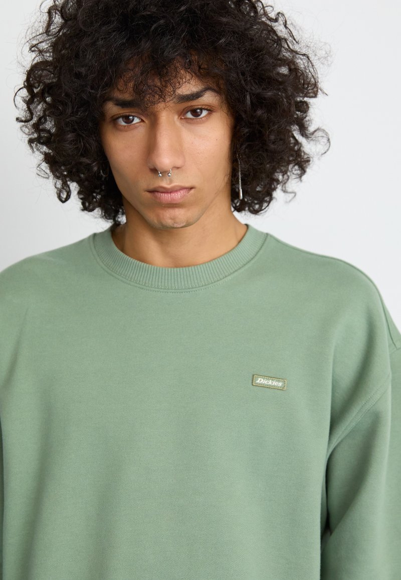 Grön sweatshirt i mjuk bomull, med rund halsringning, ribbad mudd och en liten rektangulär Dickies-logotyp på bröstet.