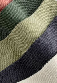 Next RICH 5 PACK - Calze - earthy tipped stripes