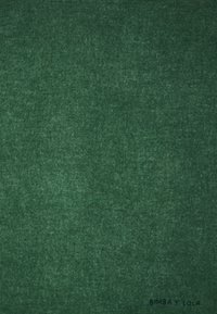 Ciemnozielona tkanina o teksturowanej powierzchni i miękkim wykończeniu. Charakteryzuje się delikatnym połyskiem oraz logo w dolnym prawym rogu: "BIMBA Y LOLA."