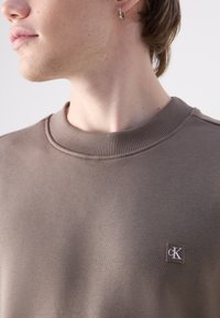 Sudadera de algodón marrón con cuello redondo acanalado y un pequeño parche con logo en la esquina inferior izquierda. Textura suave y diseño ajustado.