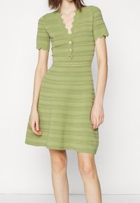 Robe en tricot verte avec des manches courtes à bordure festonnée, un devant à cinq boutons, des rayures verticales et des motifs découpés sur l'ensemble. Design de jupe évasée.