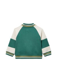 Veste de style athlétique verte et crème avec des manches raglan, un col côtelé et des accents rayés. Tissu doux et texturé.