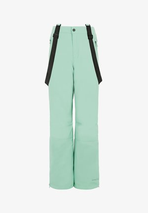 SUNNY - Sniego kelnės - green baygreen