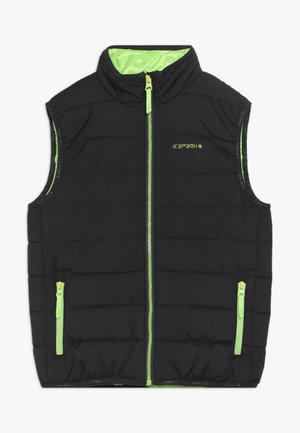 Gilet sans manches noir en duvet avec accents verts, fermeture éclair sur le devant et deux poches sur les côtés. Présente une texture matelassée et un col haut.