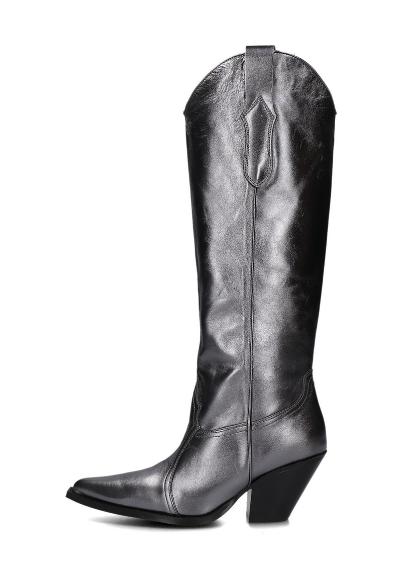 Metalen grijs leren cowboylaars met een puntige neus, gebogen bovenkant en een chunky hak. Voorzien van gestikte details en een treklip aan de achterkant.
