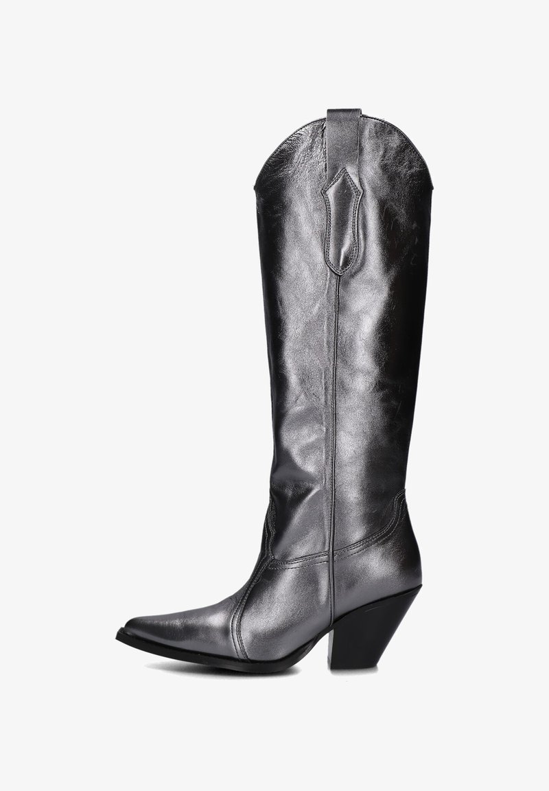 Metalen grijs leren cowboylaars met een puntige neus, gebogen bovenkant en een chunky hak. Voorzien van gestikte details en een treklip aan de achterkant.