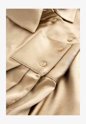 Beige Satinhemd mit spitzem Kragen, Knopfleiste und leichten Falten an den Ärmeln. Glatte Textur mit subtilem Glanz.