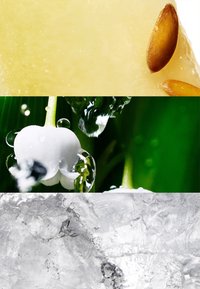 Rodaja de melón amarillo con semillas, primer plano de una flor blanca en forma de campana con gotas de agua y superficie de hielo texturizada.
