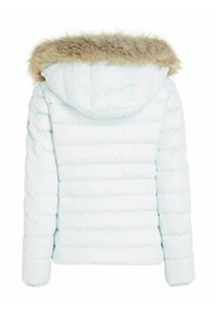 Tommy Jeans BASIC HOODED JACKET - Winter jacket - mint