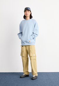 Carhartt WIP BILLY - Felpa - misty sky