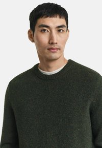 Junger Mann mit kurzen schwarzen Haaren, der einen dunkelgrünen Strickpullover über einem weißen Rundhals-Shirt trägt und vor einem einfarbigen Hintergrund posiert.