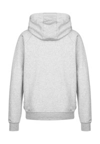 Felpa grigia chiara con cappuccio, maniche raglan e texture morbida, con orlo e polsini a costine. Vista posteriore con una finitura liscia.