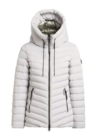 Nije odabrano, platinum grey