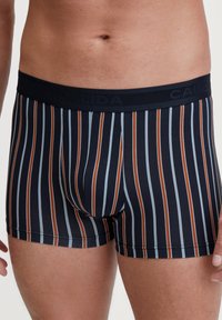 Navy-gestreepte trunk shorts met verticale strepen in verschillende tinten blauw en roest. Zacht elastische tailleband met merkelogo. Stretch katoenmix materiaal.