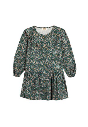 Vestido floral con fondo verde oscuro, pequeñas flores rosas y blancas, mangas largas, cuello con volantes y cierre de botones.