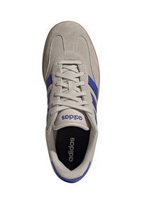 Sneaker grigio chiaro con strisce blu, materiale in suede e pelle, punta rotonda, suola piatta e design con lacci. Logo del marchio visibile sulla linguetta.