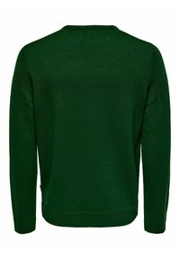 Pull en maille vert foncé à manches longues avec encolure ronde et poignets et ourlet côtelés, vu de dos.