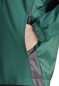 Grüne Windjacke mit weichem Textil, elastischen Bündchen und einer Seitentasche mit kontrastierendem grauen Innenfutter. Glattes, leichtes Material.