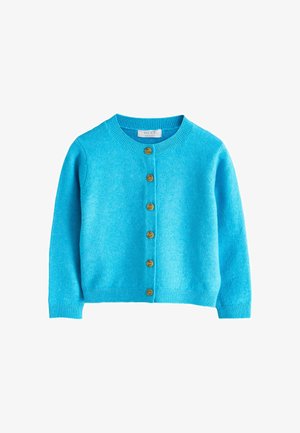 Hellblauer, langärmliger, gestrickter Cardigan mit Rundhalsausschnitt und sechs braunen Knöpfen vorne.