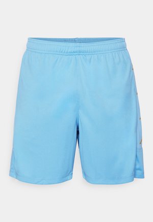 Heledad sinise sportlikud lühikesed püksid, mis on valmistatud sünteetilisest materjalist. Omavad elastset vöökohta ja kuldset aktsenti küljel. Sile tekstuur, kuni reie keskpaigani ulatuv pikkus.