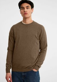Bruine gebreide trui met een ronde halslijn en lange mouwen, met ribgebreide manchetten en zoom, gedragen over een witte ondershirt.