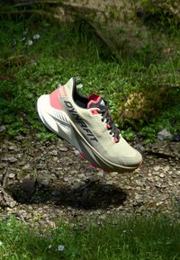 Ελαφριά παπουτσιών τρεξίματος σε μπεζ και ροζ. Διαθέτει μια υφή στην επάνω πλευρά, μαύρους κορδόνια και μαλακή σόλα. Έντονο λογότυπο της μάρκας στο πλάι.