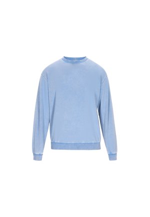 Svetlomodrá mikina vyrobená z mäkkej tkaniny, s okrúhlym výstrihom, dlhými rukávmi a ribovaným lemom. Bez vzorov alebo ďalších akcentov.
