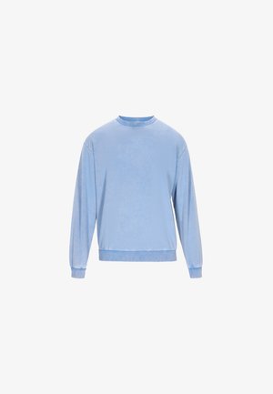 Lichtblauwe sweatshirt van zacht materiaal, met een ronde hals, lange mouwen en een ribgebreide zoom. Geen patronen of extra accenten.