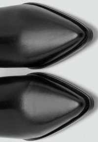 Zapatos negros de punta afilada con un acabado de cuero brillante, que presentan una silueta elegante y un detalle de costura sutil a lo largo de los bordes.